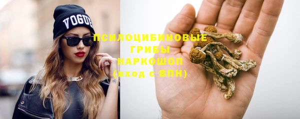 первитин Абинск