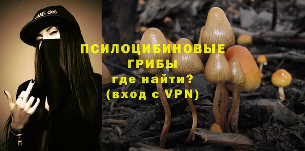 не бодяженный Алзамай