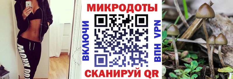 купить наркотик Заринск Псилоцибиновые грибы Magic Shrooms