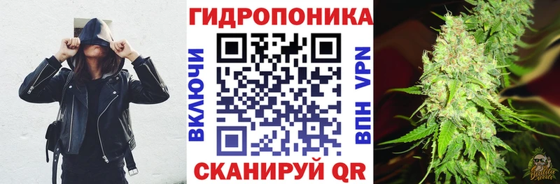 Бошки Шишки сатива  Заринск 